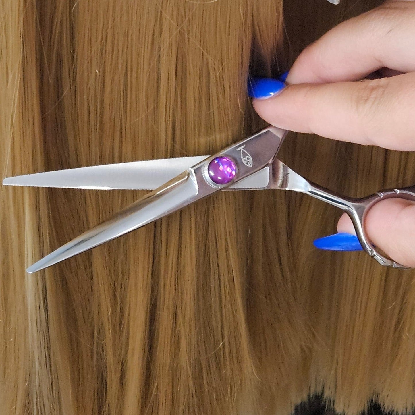 Chameleon Beauty Shears