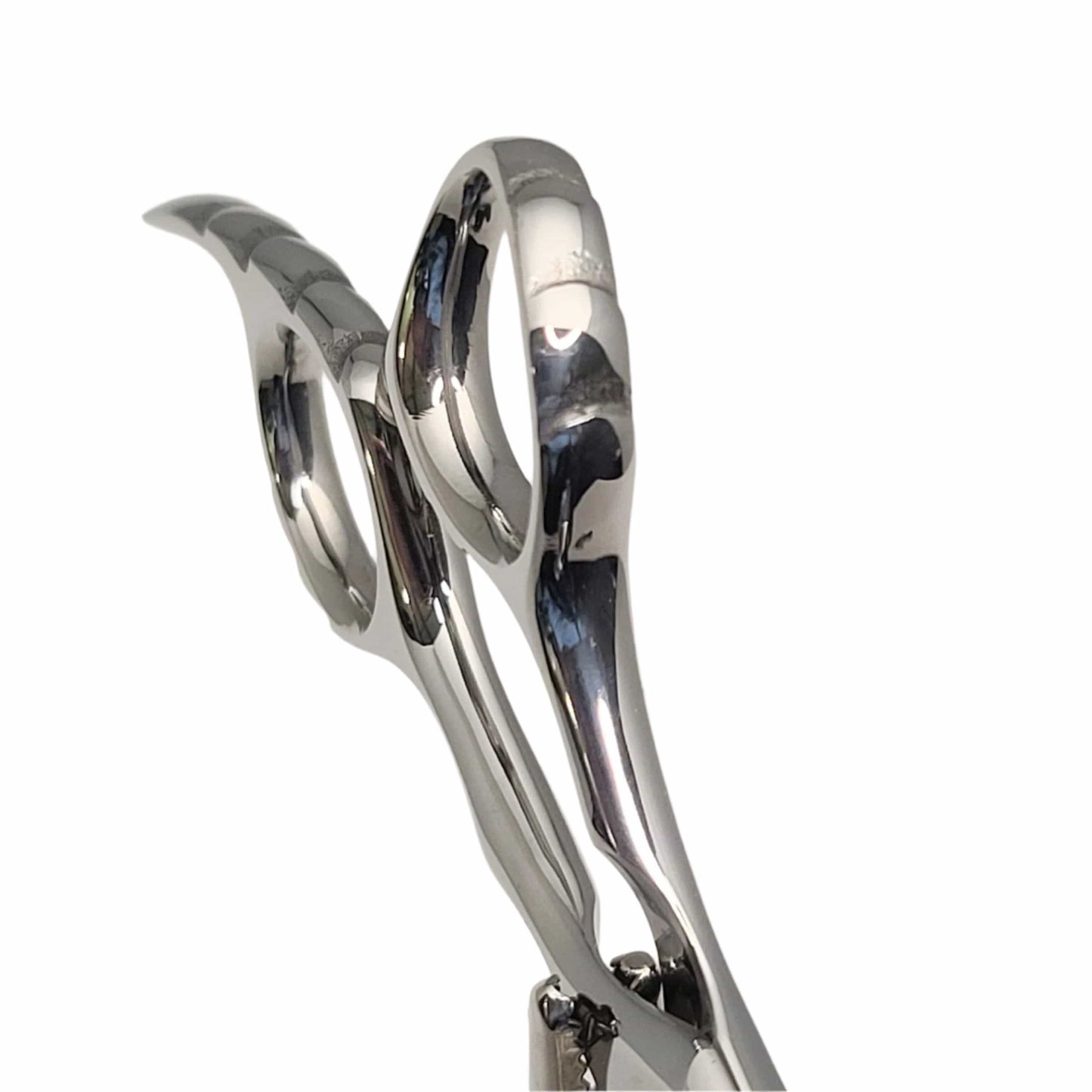 Chameleon Beauty Shears