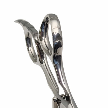 Chameleon Beauty Shears