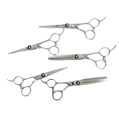 Jazzy Shears