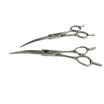 Ocean Curve Shear 6 inch
