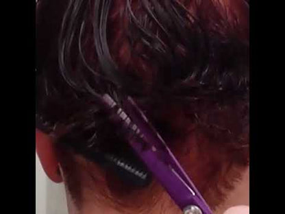 December Special - Purple Plum 6 inch