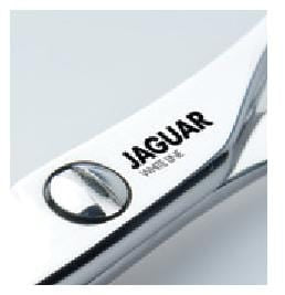 Pre Style Relax Slice Scissors  6 " - Bonika Shears